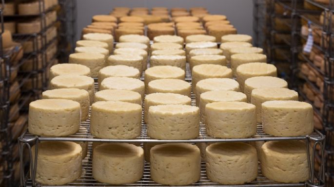 Un viaje por los quesos de Francia, conoce todas las variedades que existen