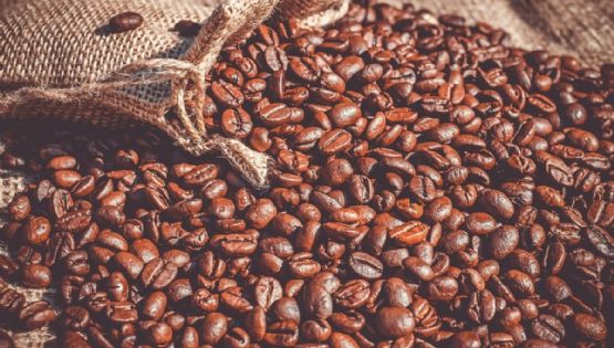 Café y Chocolate Fest tendrá una nueva edición este fin de semana en el Palacio de la Autonomía UNAM