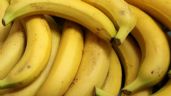 ¿Por qué es bueno desayunar plátano? Descubre los beneficios que aporta esta rica fruta