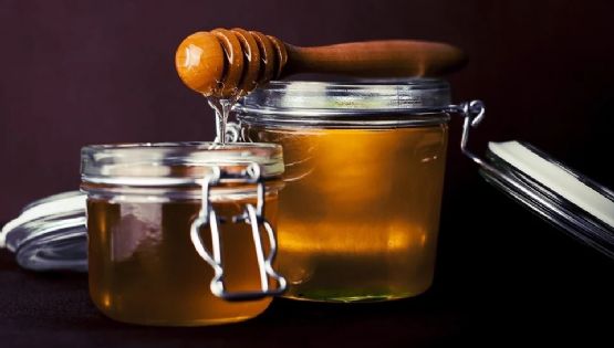 Legendario endulzante: Conoce algunos tipos de miel