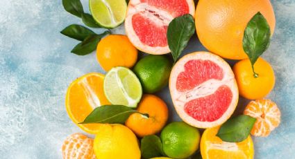 Limón, mandarina, toronja y naranja, descubre por qué es importante consumir estos cítricos en otoño