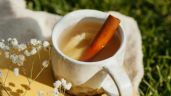 ¿El té de canela sirve para las plantas? Así es como puedes cuidar tu huerto con este preparado