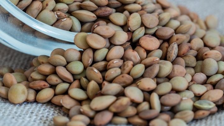 Lentejas, el alimento que puedes usar en tus rituales para despedir el año y atraer la abundancia