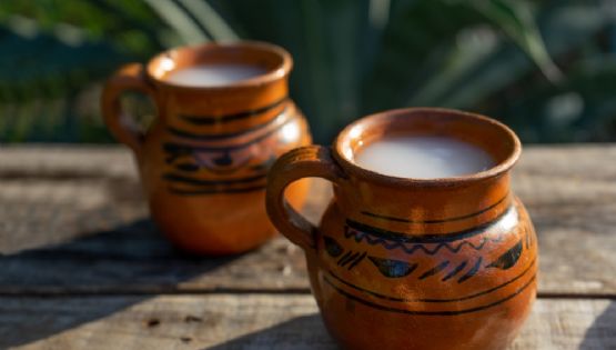 ¿Te gusta el pulque? No te pierdas la Feria de las Pulquerías Tradicionales 2023 en la CDMX