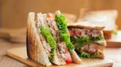 Sándwich de atún con aderezo de chipotle, una preparación rápida y deliciosa para el lunch