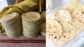 Tortilla de harina vs tortilla de maíz: ¿Cuál engorda más y cuál es más saludable?