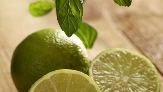 ¿Cuál es el mejor limón para sembrar? 3 variedades de limoneros que puedes tener en el huerto