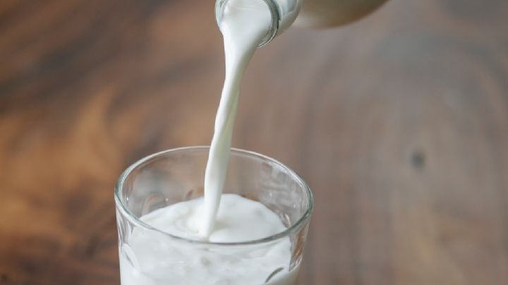 Fresca y saludable: Todo lo que necesitas saber sobre la leche