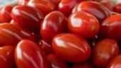 ¿Cuánto cuesta el kilo de tomate? Conoce los precios actualizados a mayo 2023