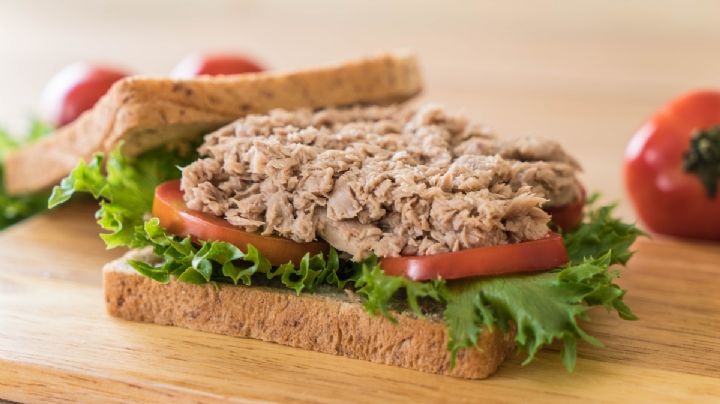 Cena Ligera: Prepara esta deliciosa opción de atún en sándwich que amarás