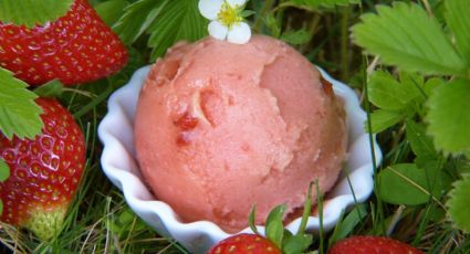 Postres fríos: Prepara esta deliciosa versión de helado de fresa sin azúcar para tus tardes