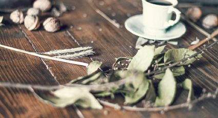 Año bisiesto: este ritual te ayudará a alejar la mala suerte usando el laurel de tu cocina