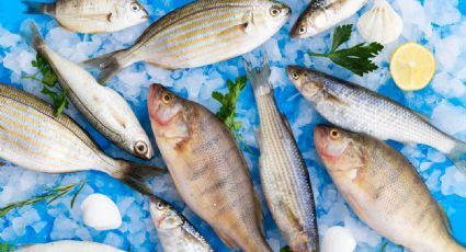 Pon atención a estos detalles para comprar pescado fresco en el mercado y aprovecharlo