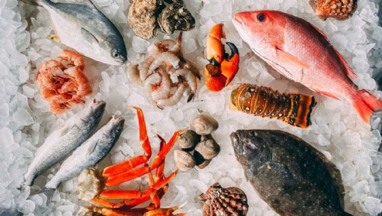 Conoce el tiempo máximo en el que puedes refrigerar cada marisco| Tabla de conservación de alimentos